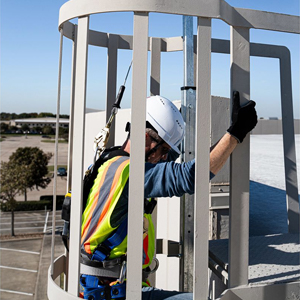 Fixed Ladder Fall Protection