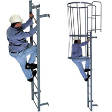 Fixed Access Ladders