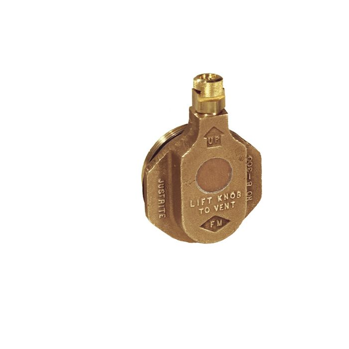 Justrite 08300 Brass Horizontal Drum Vent for Petroleum Based Applications - 2