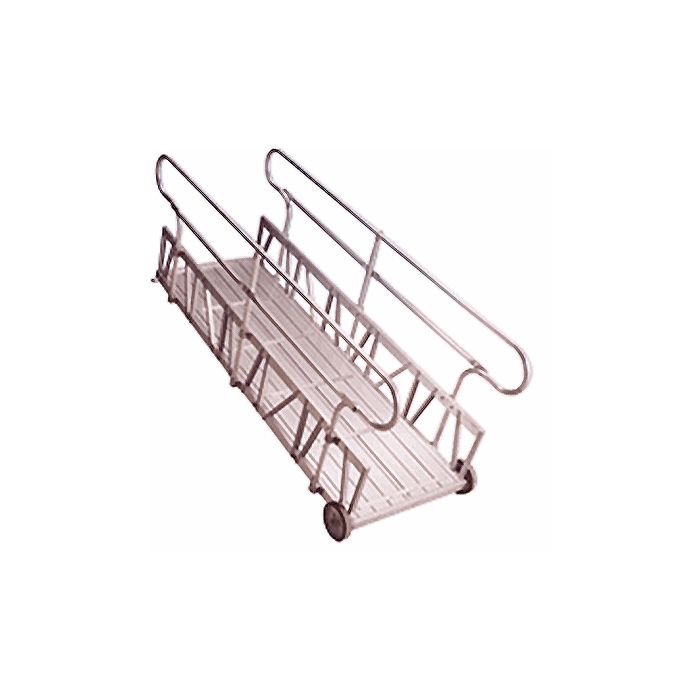Metallic Ladder 42