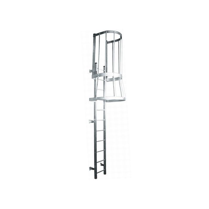 Demuth Galvanized Fixed Steel Ladders with Walk-Thru and Cage