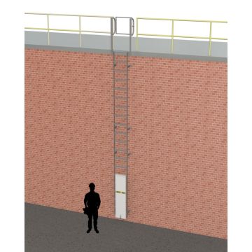 Custom Fixed Ladders