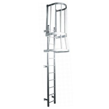 Demuth Galvanized Fixed Steel Ladders with Walk-Thru and Cage