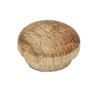 C-3015 1/2" Button Plug Oak