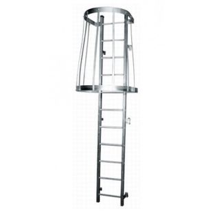 Demuth Galvanized Fixed Steel Ladders with Top Exit Cage