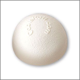 Feeney CableRail White Colored End Cap Package (10/pkg)