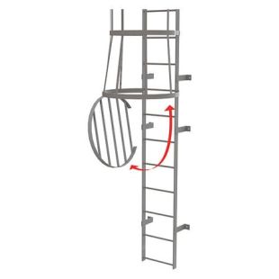 Tri-Arc OPFS04 Cage Door for Lockout of Caged Fixed Steel Access Ladders