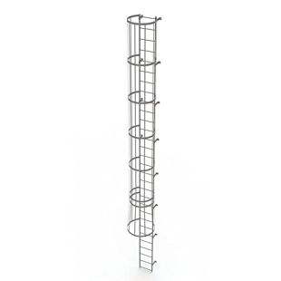 Tri-Arc WLFC1130 - 30 Rung Fixed Steel Ladder with Cage